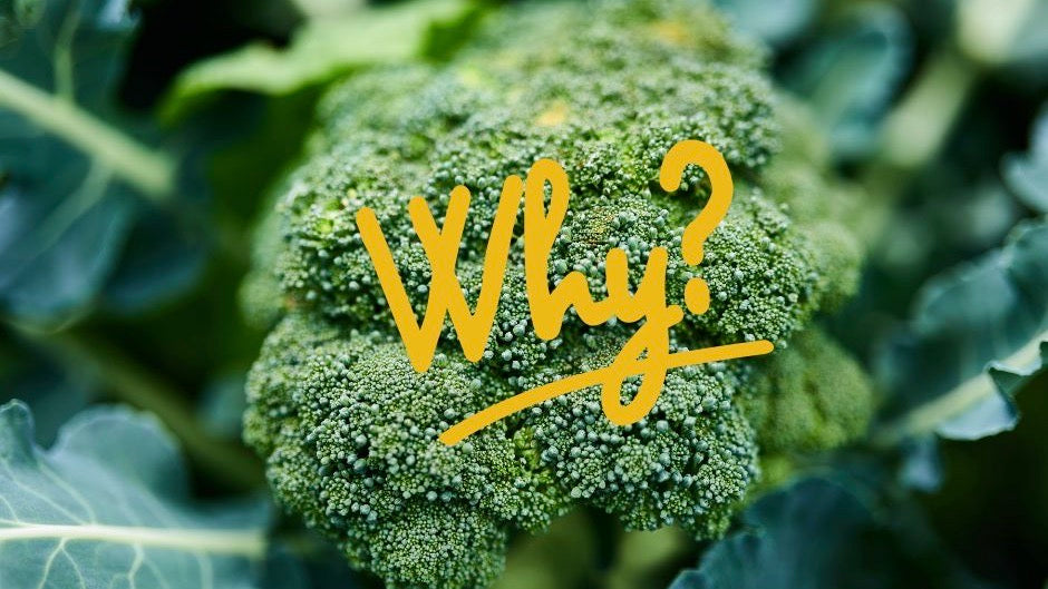 Why don't we crave broccoli?